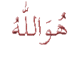   msjy100
